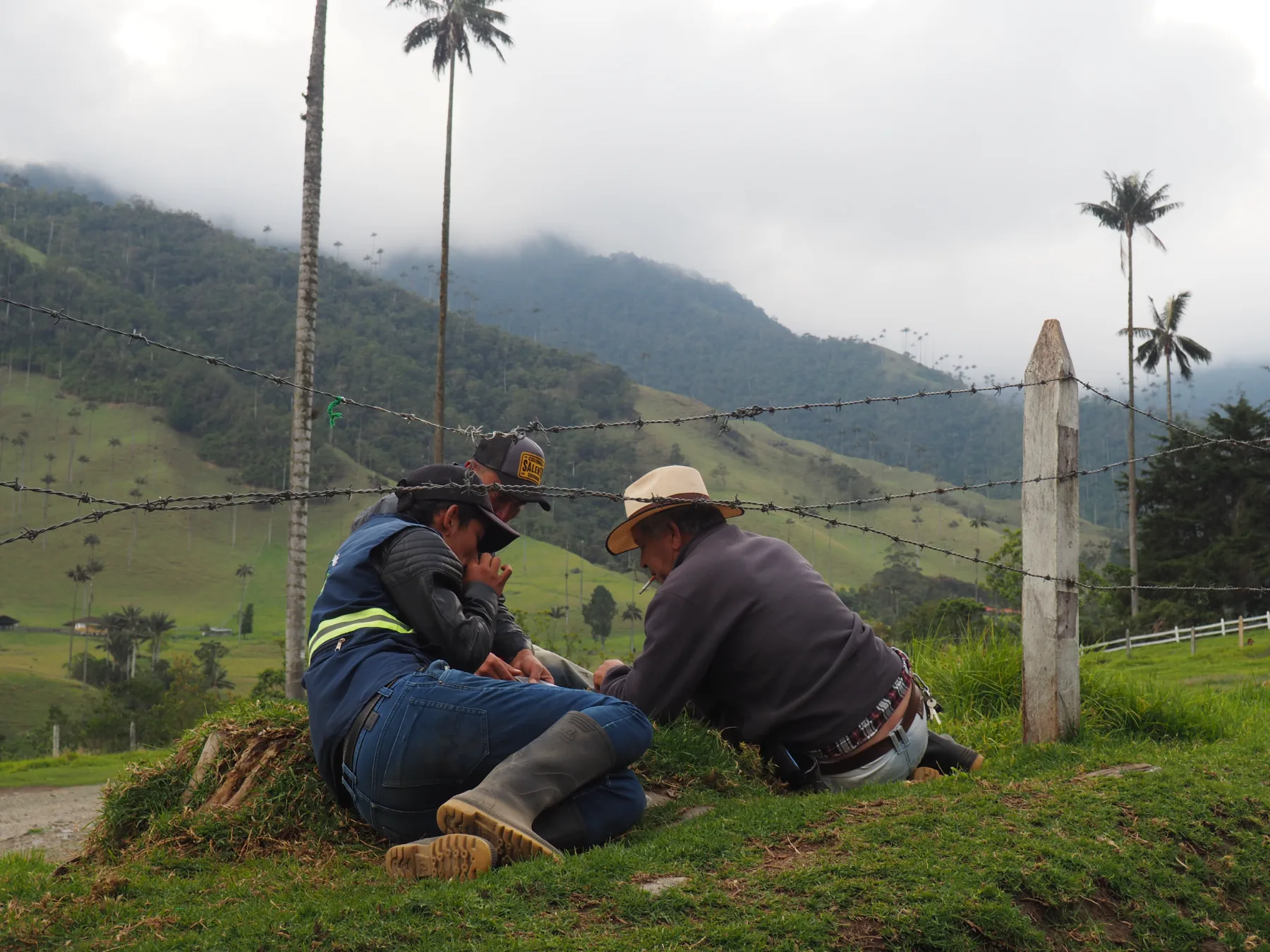 Escena documental cálida