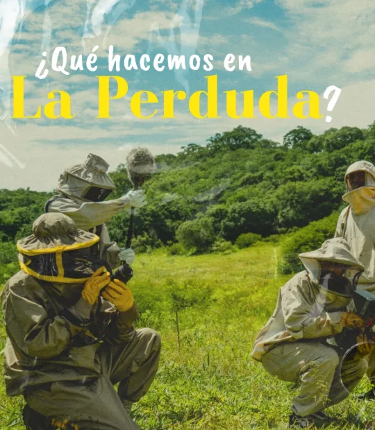 Publicación de La Perduda en Instagram