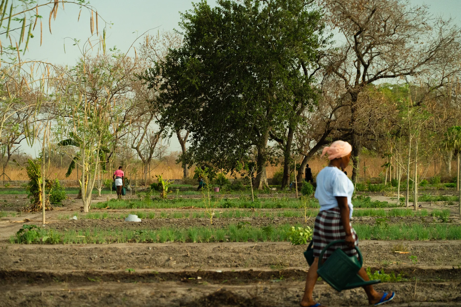 JANGO ActionAid 09240 2 2