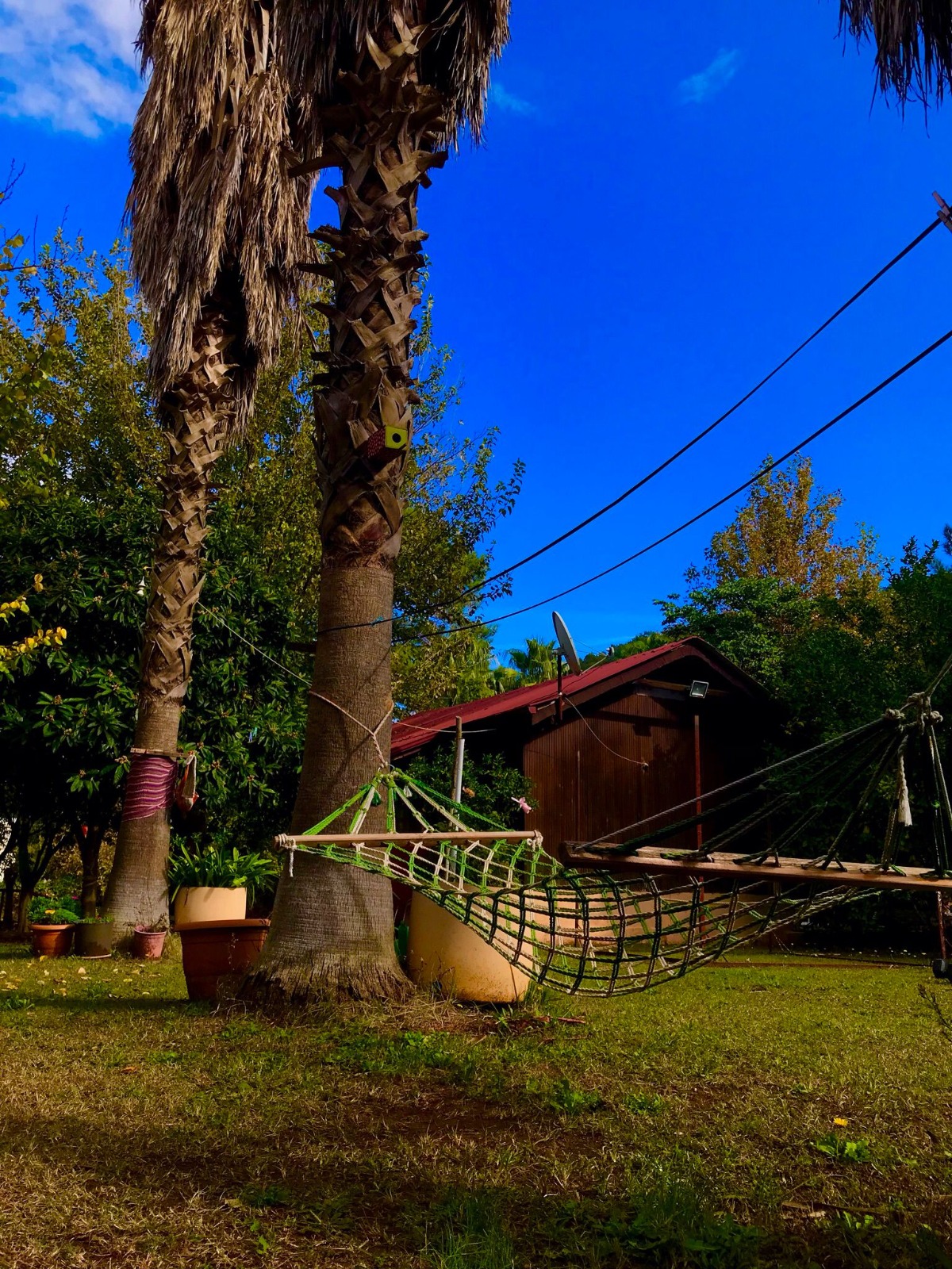 WhatsApp Image 2023-04-24 at 18.49.55